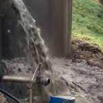 Pig Farm Faces Record Fine Over Major Environmental Breach - OULIANNEWS