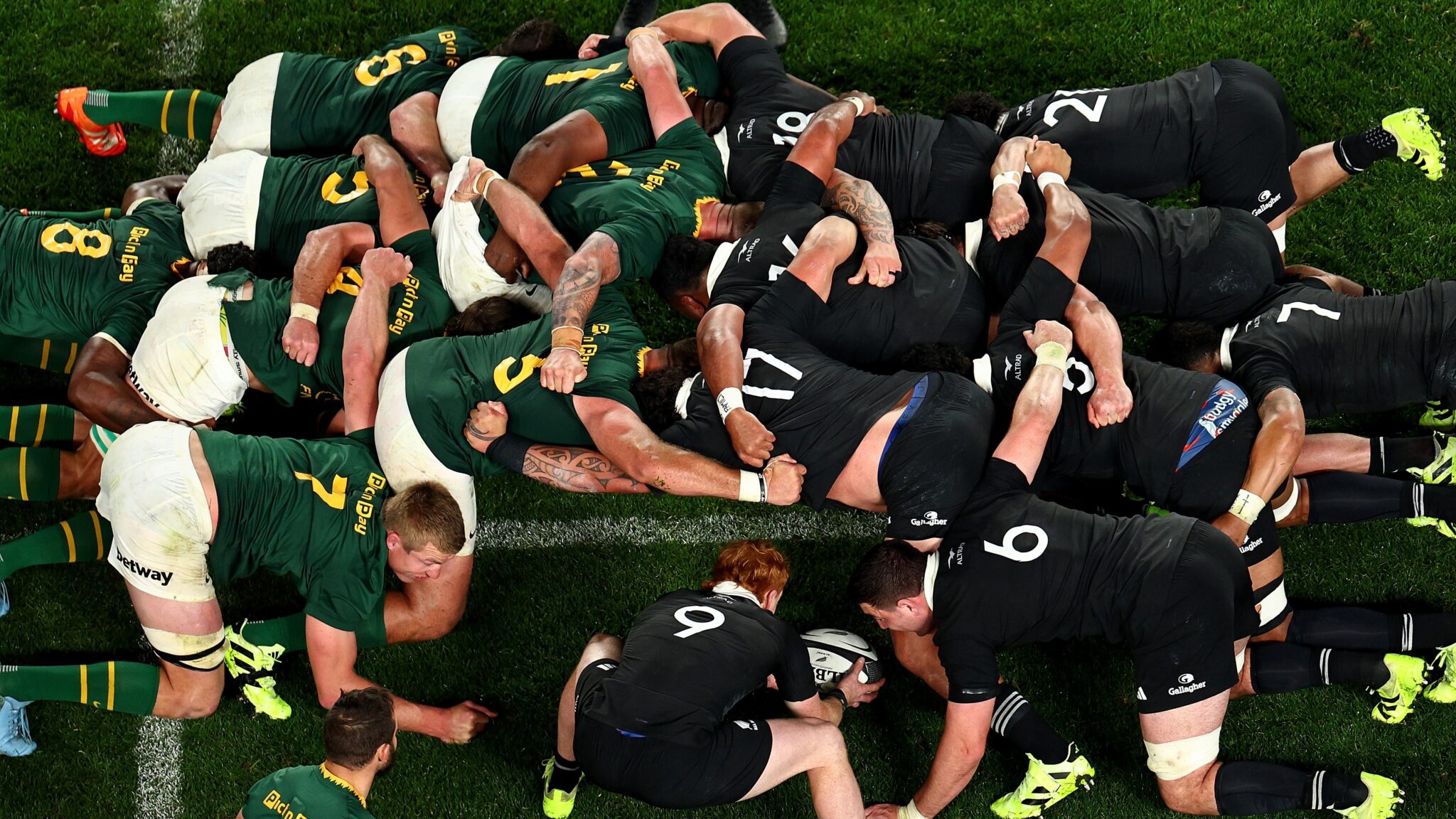 rugby springboks vs new zealand